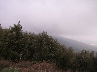 nte Ilice-20110120 056
